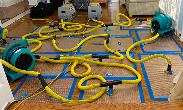 Professional Crawl Space Water Removal technician working in Ivanhoe, CA